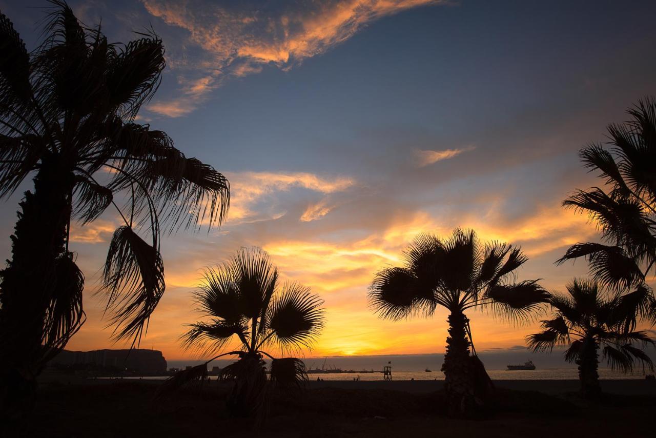 Novotel Arica Kültér fotó